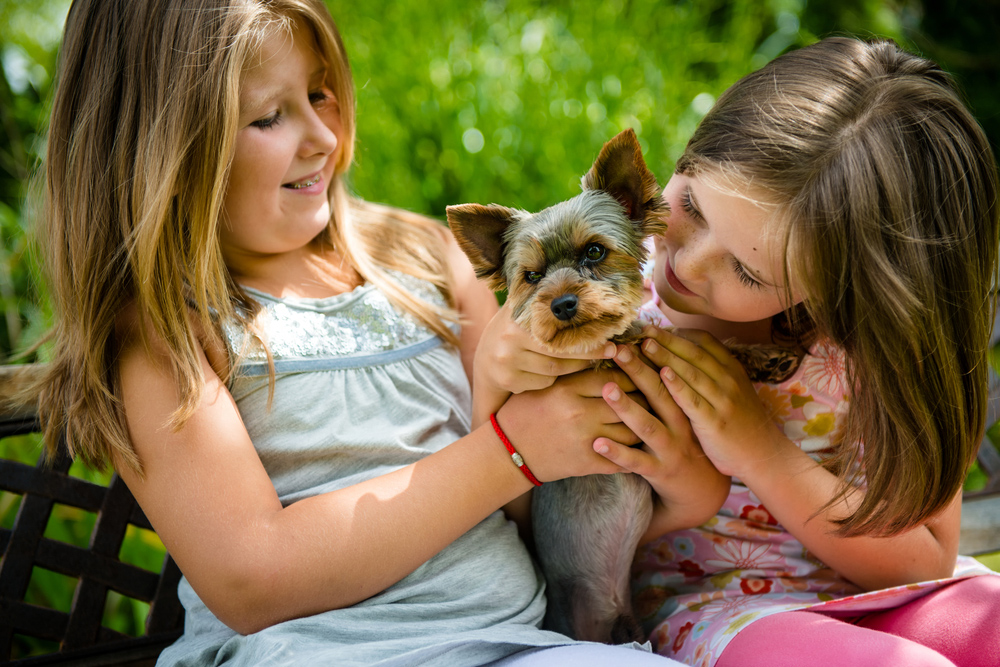 Qual animal de estimação ideal para uma criança? - Blog Casa do Produtor