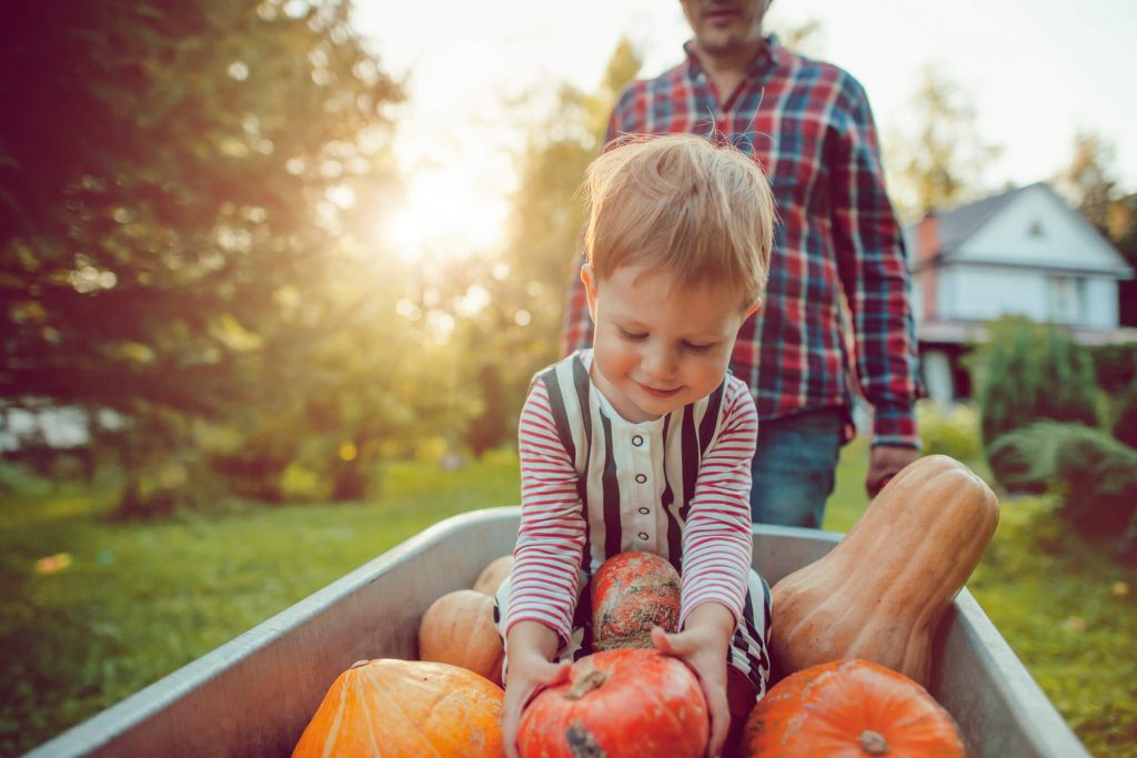 Sustentabilidade em casa: como fazer a sua parte?