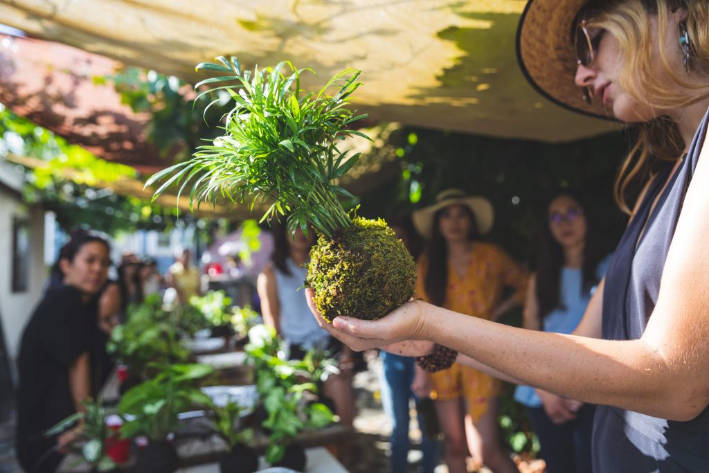 Saiba o que é a kokedama e como fazer os seus arranjos