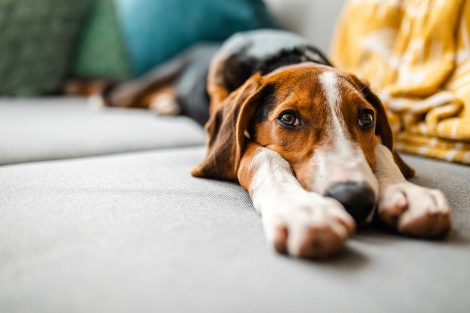 Saiba quais os benefícios do yoga para o corpo e para a mente!