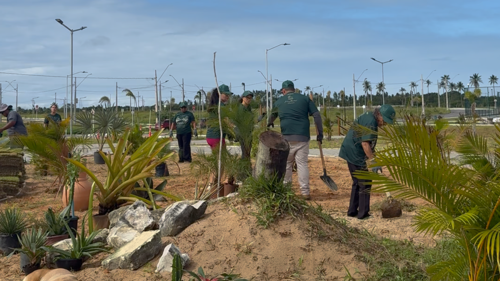 Moradoras realizando o plantio das mudas.